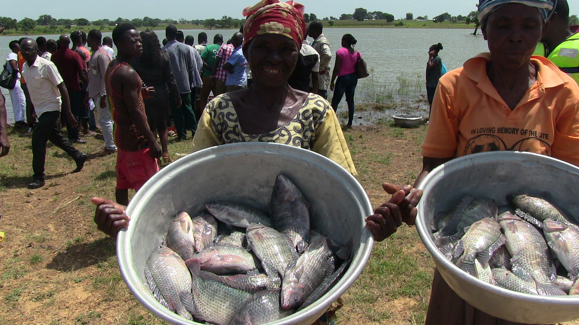 Members of the community Aquaculture group harvest tilapia fish
